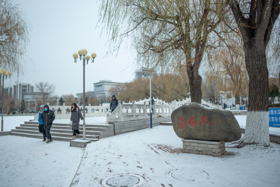 20231214陈昊摄sue_5505