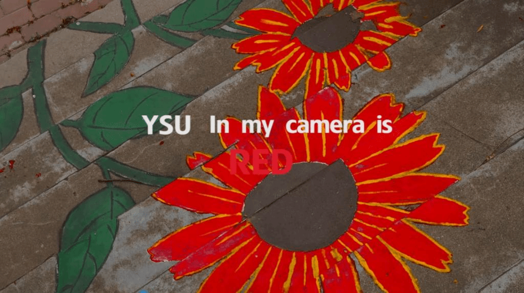 ysu in my camera is…